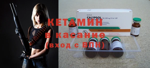 индика Елизово