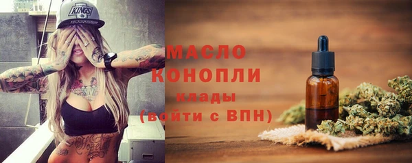 индика Елизово