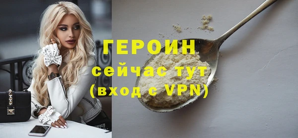 индика Елизово