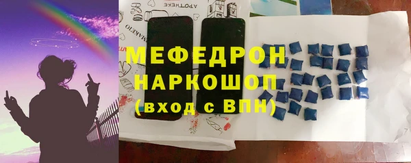 индика Елизово