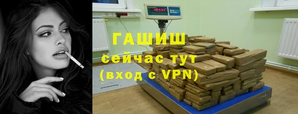 индика Елизово