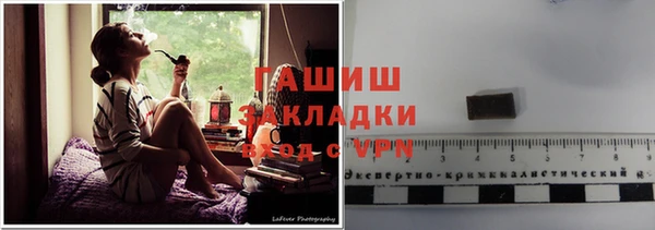 индика Елизово