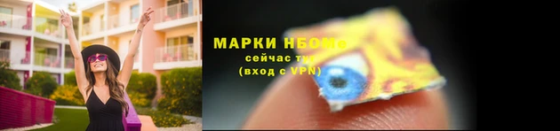 индика Елизово