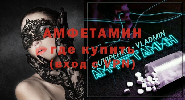 индика Елизово