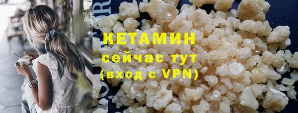 индика Елизово