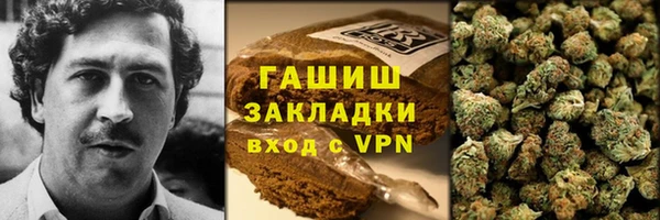 индика Елизово