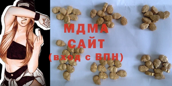 индика Елизово