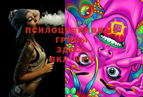 индика Елизово