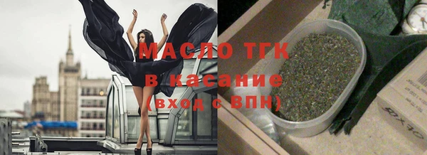 индика Елизово
