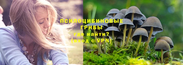 индика Елизово