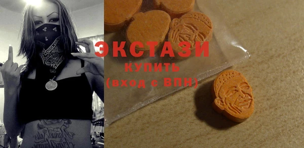 индика Елизово